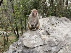 -千岛湖东南湖区