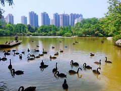 -南昌动物园