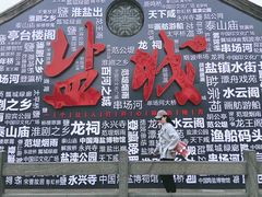 -荷兰花海