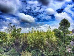 -上海崇明金茂凯悦酒店