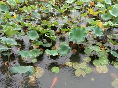 -三国水浒景区(无锡影视基地)