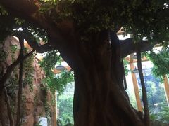 -御池园(顾村公园店)