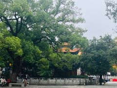 -宝通禅寺