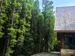 -山王坪喀斯特国家生态公园