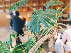 -COFFEEOLOGY咖啡学(天银店)
