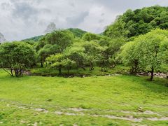 -大水川景区