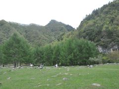 -狮子沟牧场