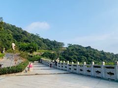 -火炉山森林公园