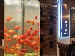 -红鱼湾餐厅(国际大厦店)