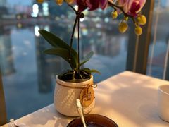 -珈境湖畔餐厅·湖北菜·江浙菜•樱花季(西北湖店)