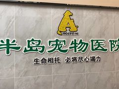 -半岛宠物医院24小时(科华中路店)