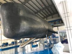 -上海海洋大学鱼文化博物馆(军工路校区)