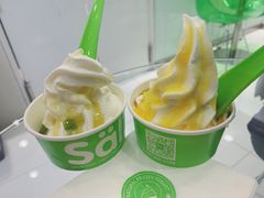 -Salud撒露欧洲冻酸奶(蓝色港湾店)