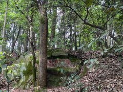 -西湖风景区十里琅珰-五云山
