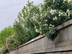 -长沙简牍博物馆