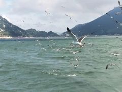 -南麂列岛