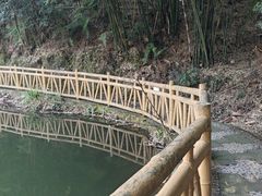 -沐川竹海旅游景区