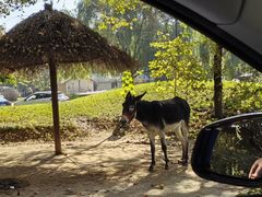 -北京野生动物园
