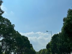 -天目湖松岭竹海漂流