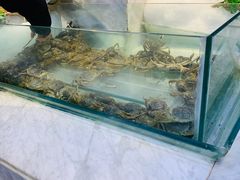 -川骄海鲜自助(河东店)