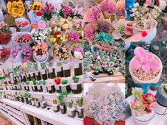 -三圣花乡旅游区