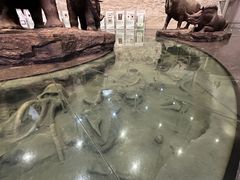 -大庆市博物馆