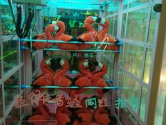 -汤姆熊欢乐世界(罗斯福店)