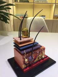 -咪咪比基尼脱毛专业店