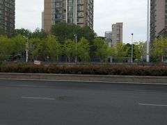 -小厨娘淮扬菜(清江苏宁广场店)