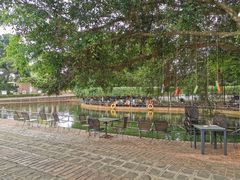 -侯臣咖啡文化村