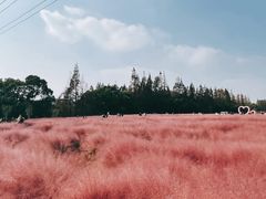 -嘉北郊野公园