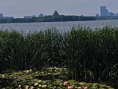 -金鸡湖景区