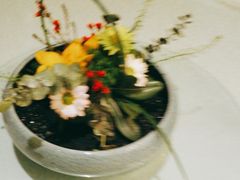 -旺顺阁海鲜广场(亚运村店)