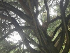 -河南工业大学(莲花街校区)