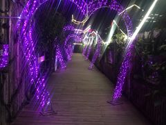 -呀路古热带植物园