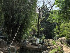 -昆明动物园
