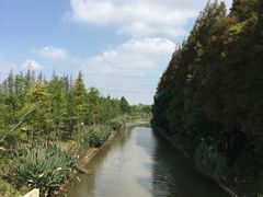 -上海长兴岛郊野公园