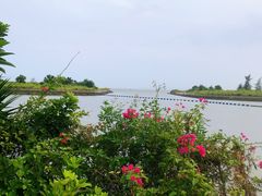 -碧桂园十里银滩