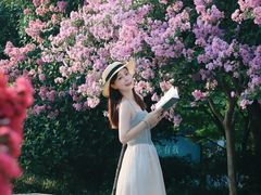 -杭州城北体育公园