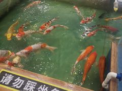-凯德广场(西城店)