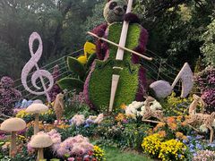 -杭州植物园