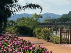 -东南花都花博园