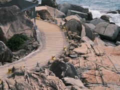 -广东惠东海龟国家级自然保护区