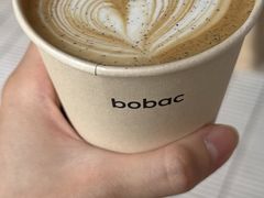-BOBAC