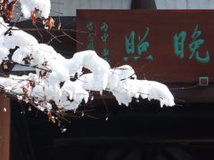 -杭州半山国家森林公园