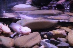 -Zoolung Zoolung动物主题公园(海信广场店)