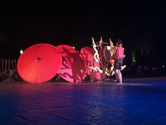 -清迈夜间动物园