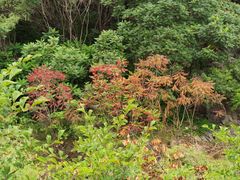 -百里山水画廊乌龙峡谷