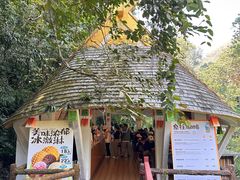 -西双版纳原始森林公园