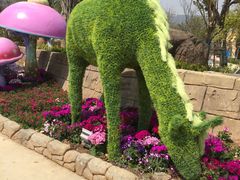 -苏州乐园森林水世界